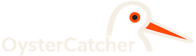 Oyster Catcher